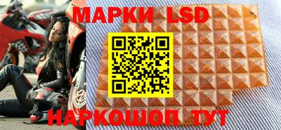 амф Донской