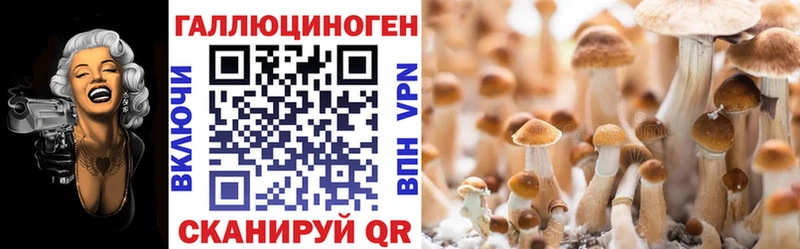 Псилоцибиновые грибы MAGIC MUSHROOMS  закладки  ссылка на мегу ссылка  Корсаков 