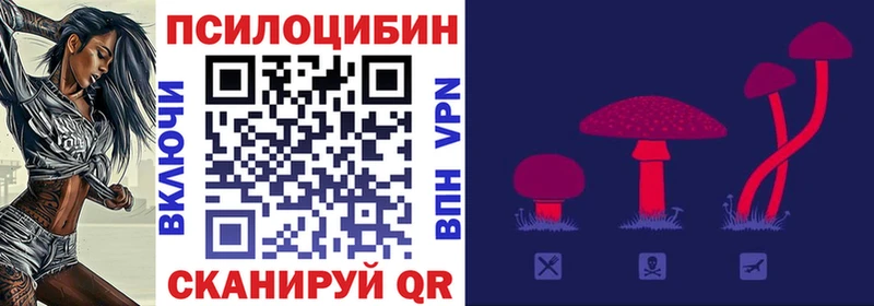 Псилоцибиновые грибы Psilocybe Корсаков