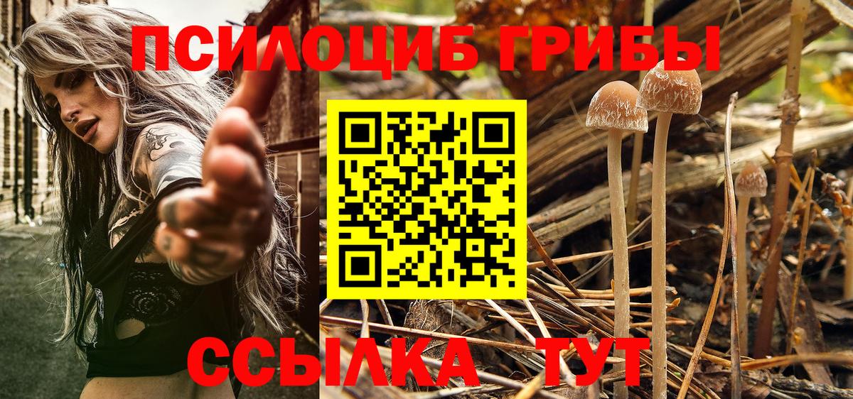 Псилоцибиновые грибы мицелий  Вход с VPN  Корсаков 