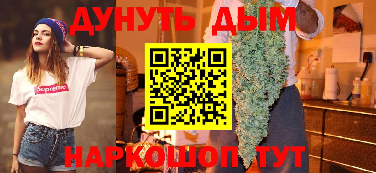Каннабис план  Конопля сатива  Корсаков  Вход с VPN  Марихуана VHQ  Бошки марихуана Amnesia 